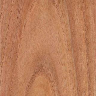 苦楝木山纹 Nimwood Crown